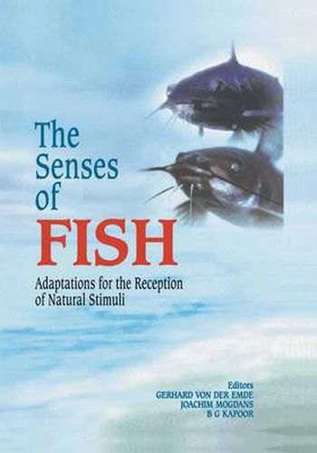 Cover image for The Senses of Fish: Adaptations for the Reception of Natural Stimuli