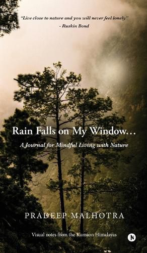 Cover image for Rain Falls on My Window...