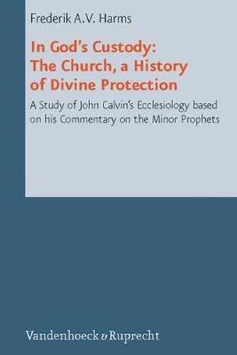 Cover image for In God's Custody: The Church, a History of Divine Protection; a Study of John Calvin's Ecclesiology based on his Commentary on the Minor Prophets