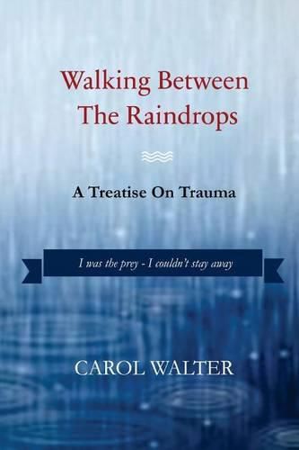 Cover image for Walking Between the Raindrops: A treatise on trauma