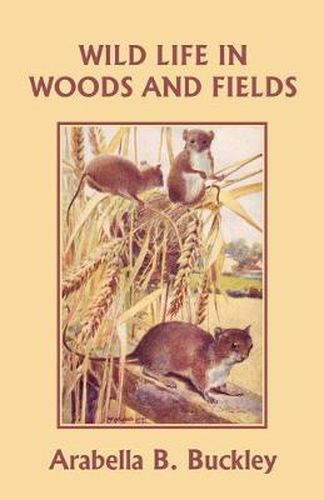 Cover image for Wild Life in Woods and Fields (Yesterday's Classics)