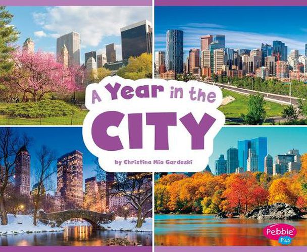 Cover image for A Year in the City