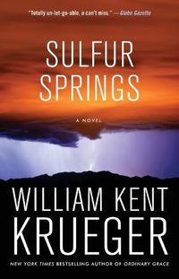 Cover image for Sulfur Springs: A Novel