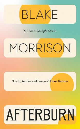 Cover image for Afterburn