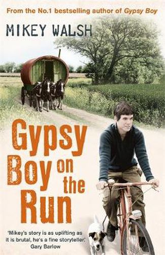 Cover image for Gypsy Boy on the Run