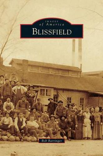 Cover image for Blissfield