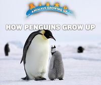 Cover image for How Penguins Grow Up