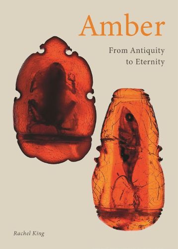 Cover image for Amber: From Antiquity to Eternity