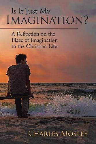 Cover image for Is It Just My Imagination?: A Reflection on the Place of Imagination in the Christian Life