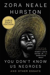 Cover image for You Don't Know Us Negroes And Other Essays [Large Print]