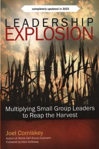 Cover image for Leadership Explosion