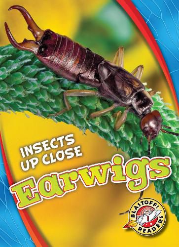 Cover image for Earwigs