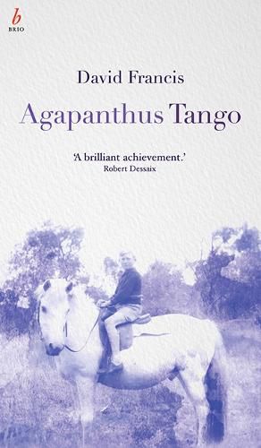 Agapanthus Tango