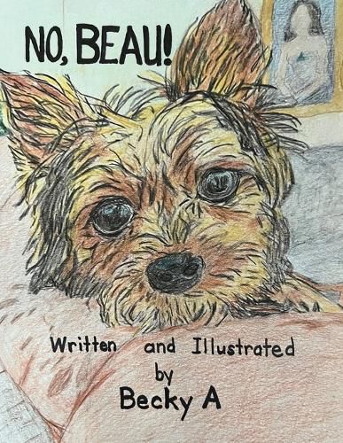 Cover image for No, Beau!