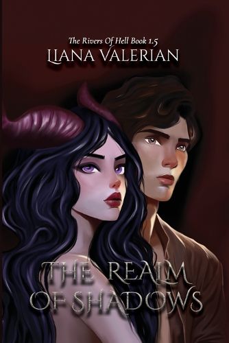 Cover image for The Realm of Shadows