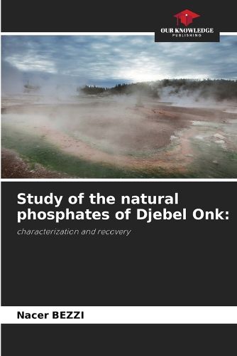 Cover image for Study of the natural phosphates of Djebel Onk