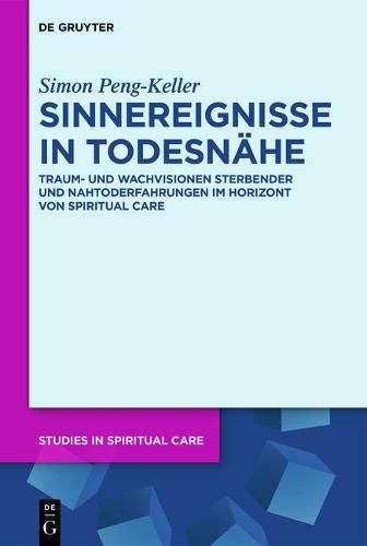 Cover image for Sinnereignisse in Todesnahe: Traum- Und Wachvisionen Sterbender Und Nahtoderfahrungen Im Horizont Von Spiritual Care