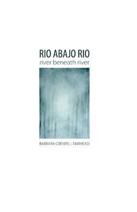 Cover image for Rio Abajo Rio