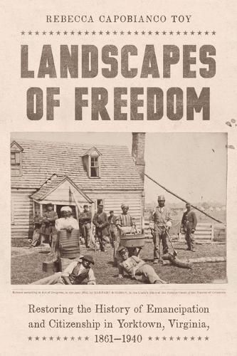 Cover image for Landscapes of Freedom