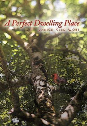 Cover image for A Perfect Dwelling Place