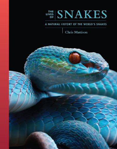 Cover image for The Lives of Snakes