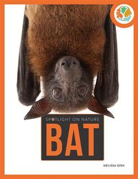 Cover image for Bat