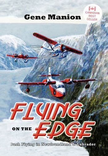 Cover image for Flying on the Edge