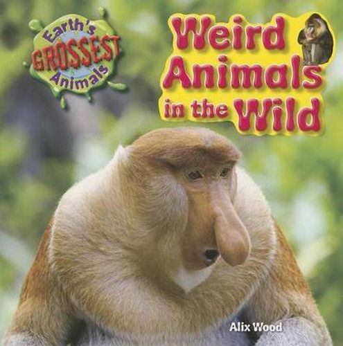 Cover image for Weird Animals in the Wild