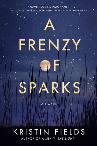 Cover image for A Frenzy of Sparks: A Novel