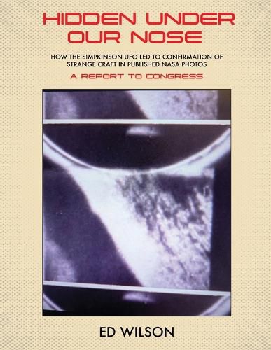 Cover image for Hidden Under Our Nose