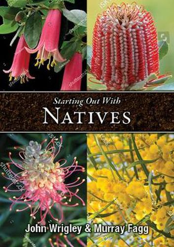 Cover image for Starting out with Natives