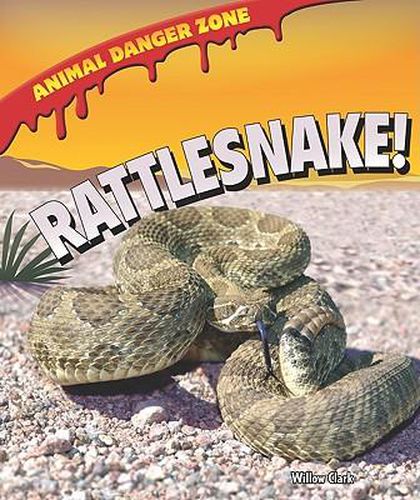 Cover image for Rattlesnake!