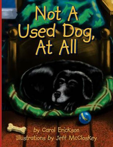 Cover image for Not a Used Dog, at All