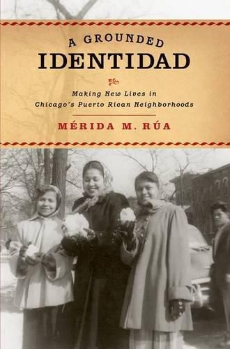 Cover image for A Grounded Identidad: Making New Lives in Chicago's Puerto Rican Neighborboods