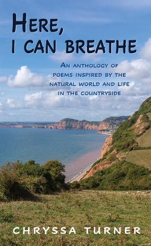 Cover image for Here, I Can Breathe