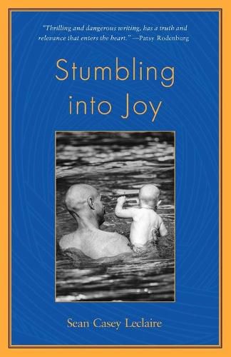 Cover image for Stumbling into Joy