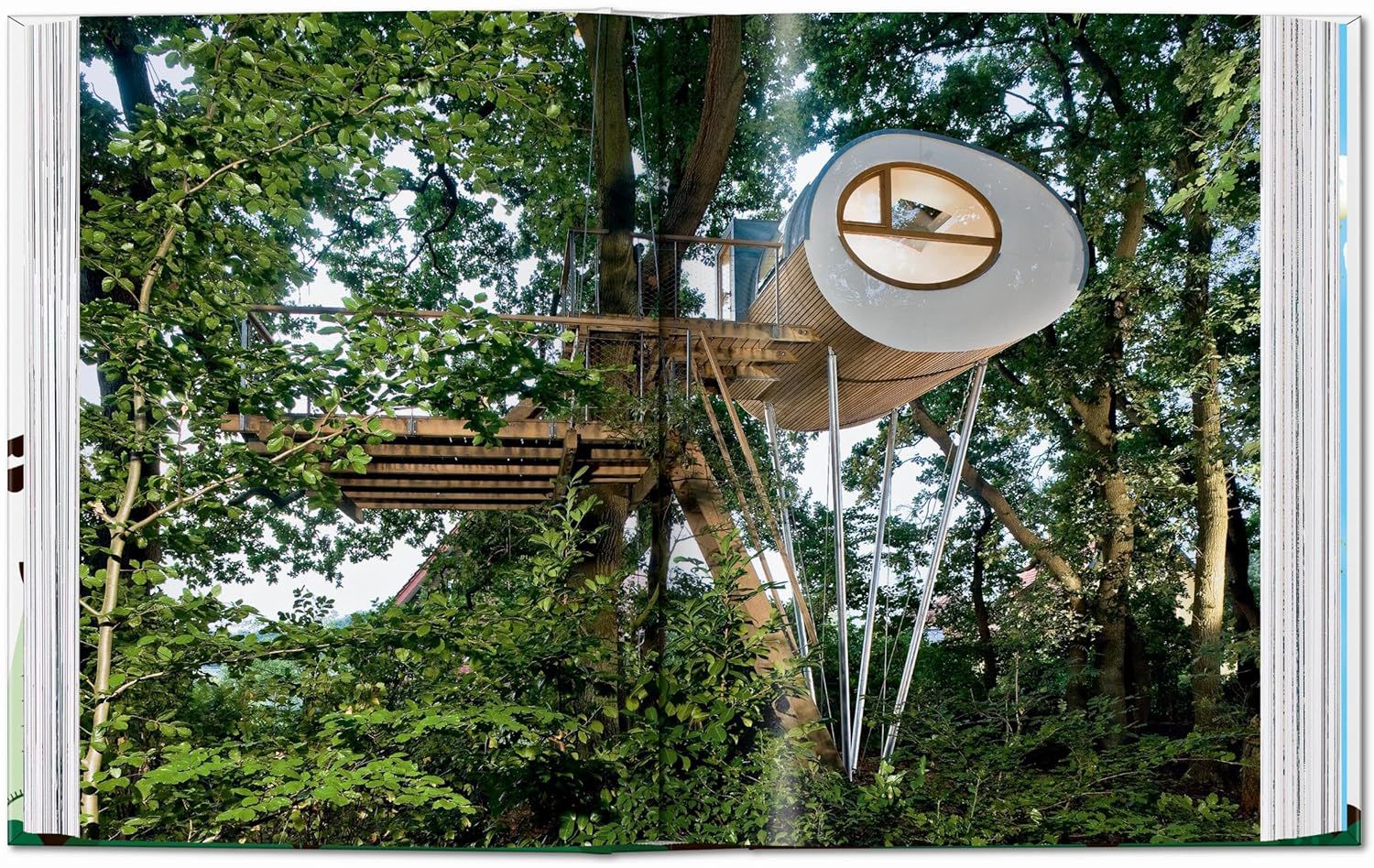 Tree Houses. 45th Ed.
