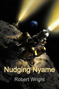 Cover image for Nudging Nyame