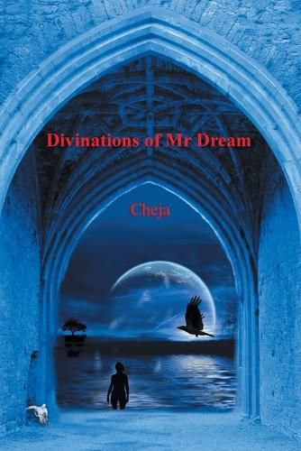 Cover image for Divinations of Mr Dream