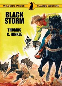 Cover image for Black Storm