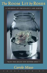 Cover image for Room Lit by Roses