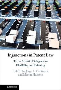 Cover image for Injunctions in Patent Law: Trans-Atlantic Dialogues on Flexibility and Tailoring