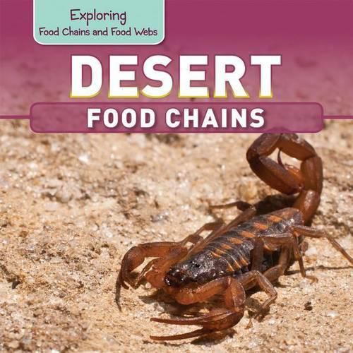 Desert Food Chains