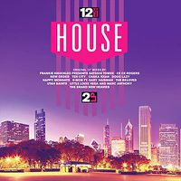 Cover image for 12 Inch House *** Vinyl