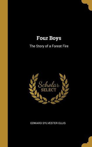 Cover image for Four Boys
