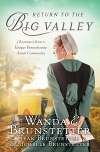 Cover image for The Return to the Big Valley