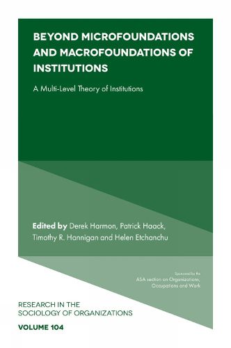 Cover image for Beyond Microfoundations and Macrofoundations of Institutions