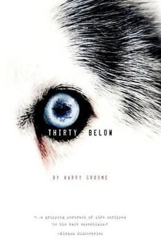 Cover image for Thirty Below