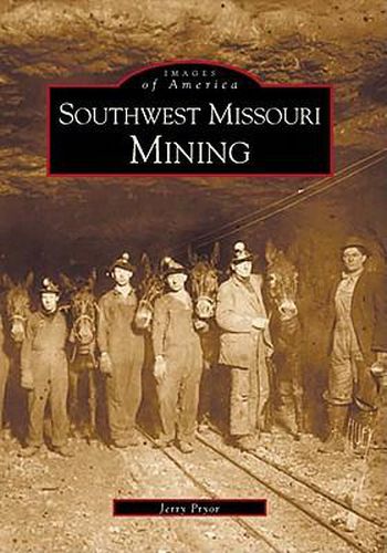 Cover image for Southwest Missouri Mining Area