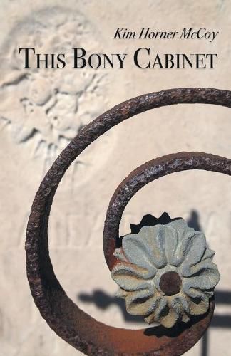 Cover image for This Bony Cabinet